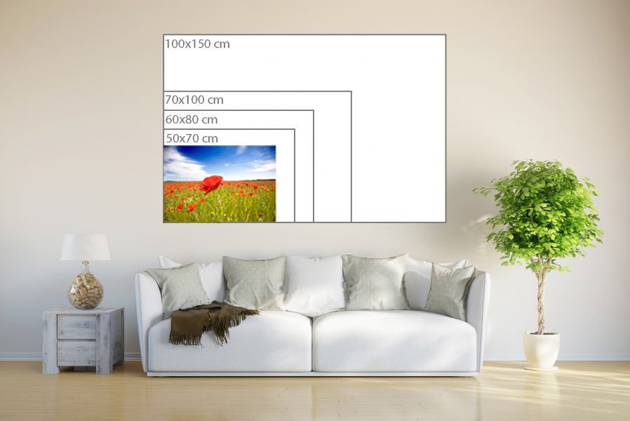 Fotoposter 40 X 60 Cm Quer Und Hochformat Online Bestellen